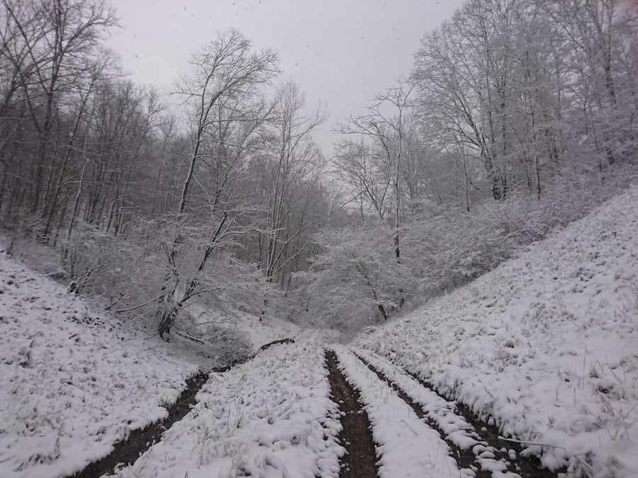 Snowshoe Mountain Resort
